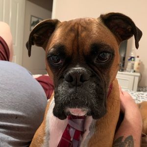 Meet your Posher, Dyana